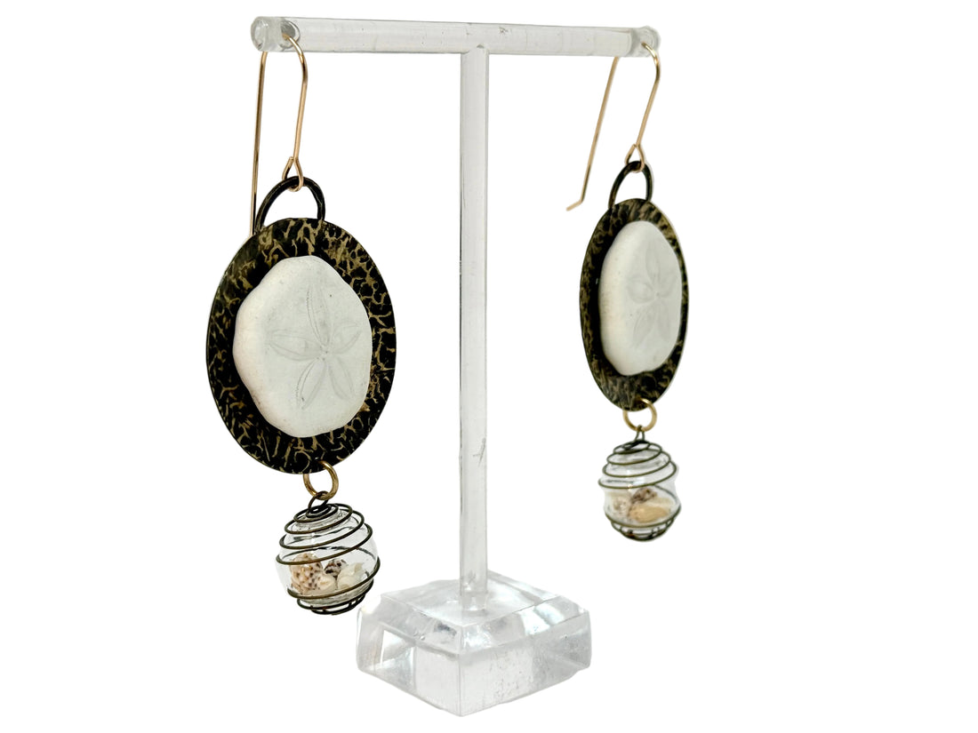 Nature Collection Sea Biscuit, Seashell, & Brass Earrings